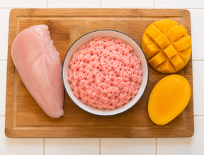 REGGIES RAW - Chicken & Mango