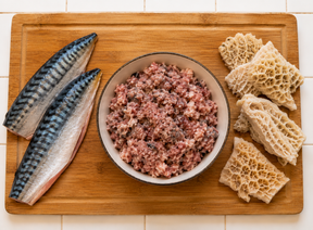 REGGIES RAW - Oily Fish & Tripe