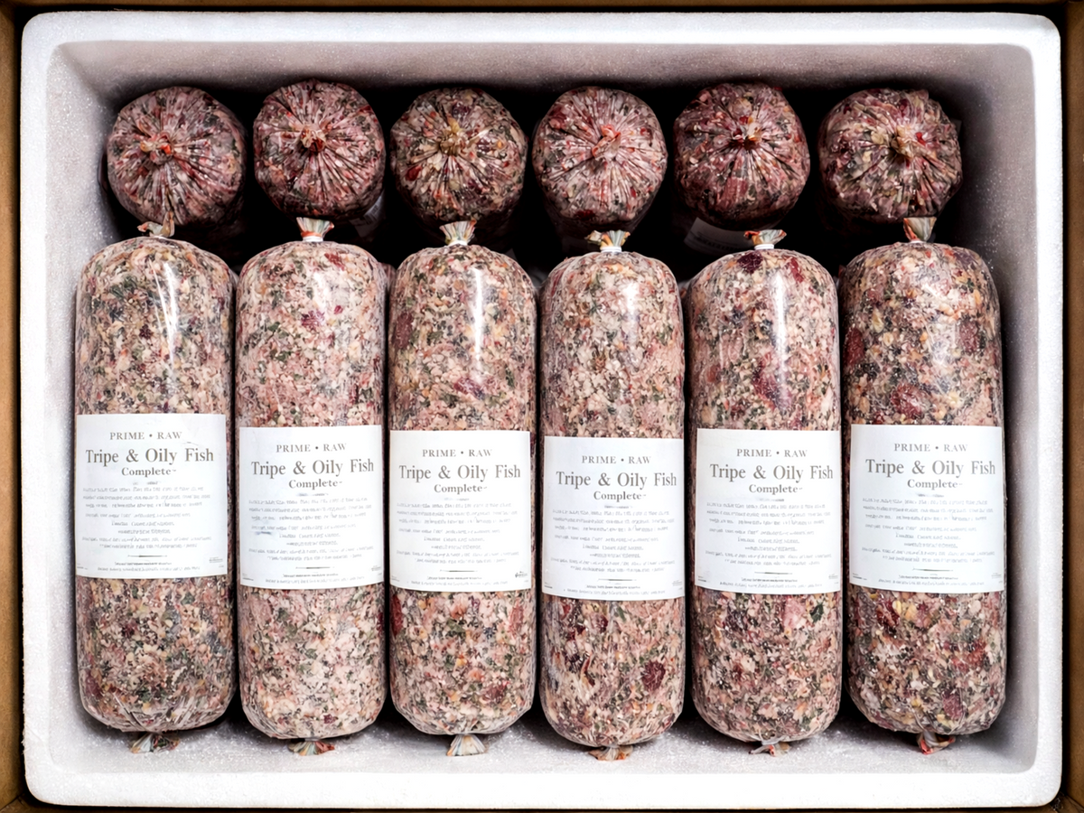 PRIME RAW | Tripe & Oily Fish